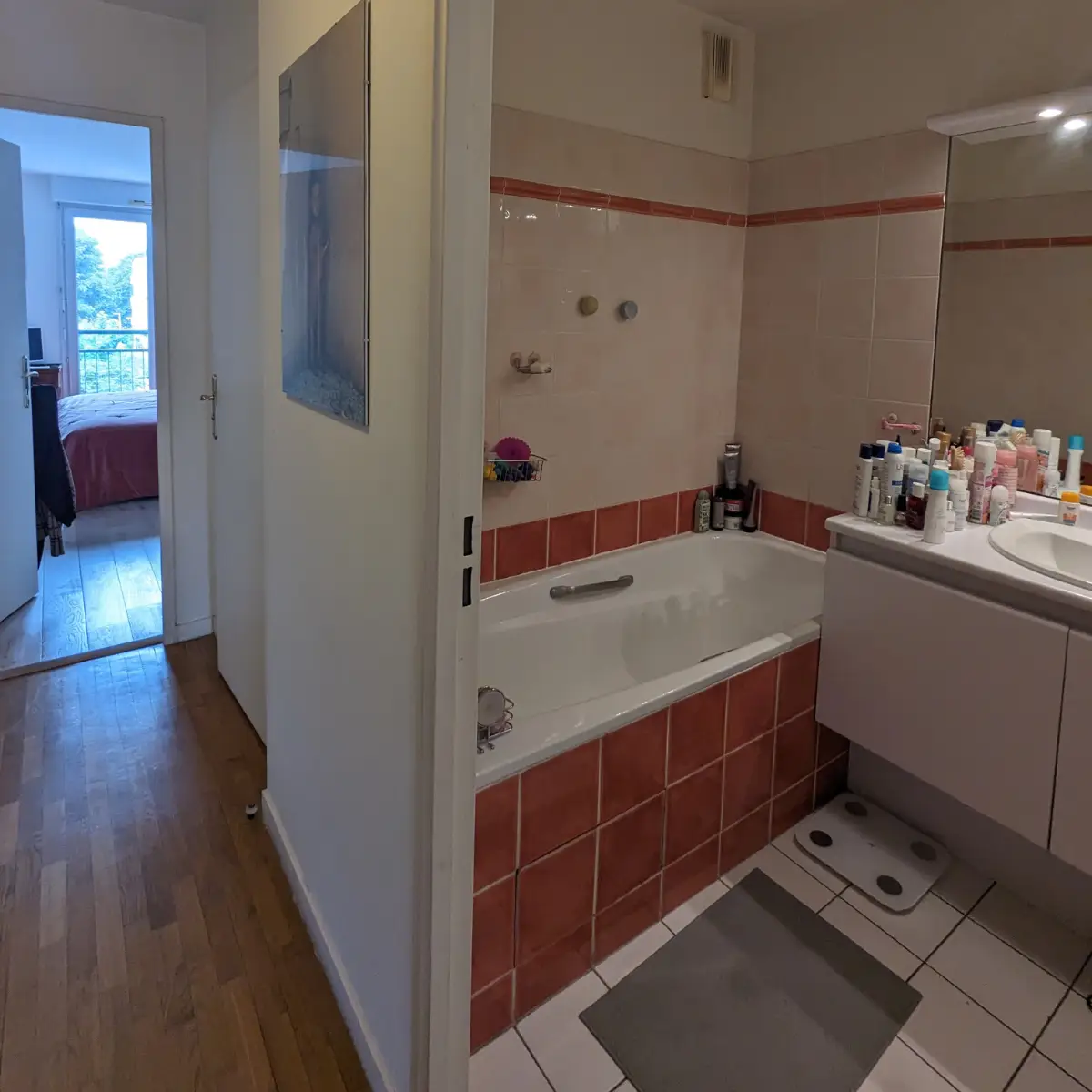 Rénovation Appartement Projet René Coche Salle de Bain Avant